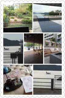 14570308_857539354382859_7321668776522046270_n